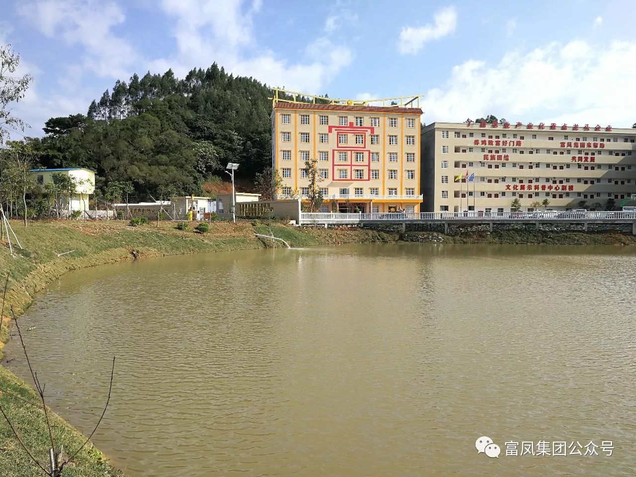 廣西香蕉视频下载APP農牧集團